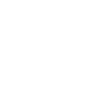 STRUKTUR PRO